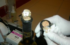 FOTO_03
W:246
H:157
9 kb