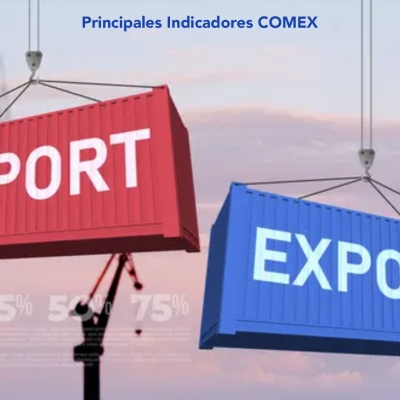 Principales Indicadores COMEX 2025