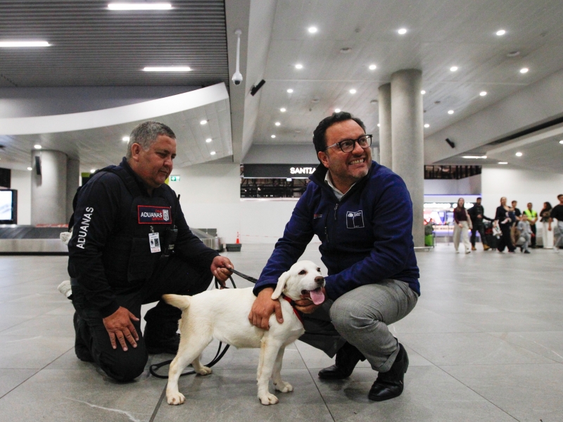  Imágen 9 - Galería