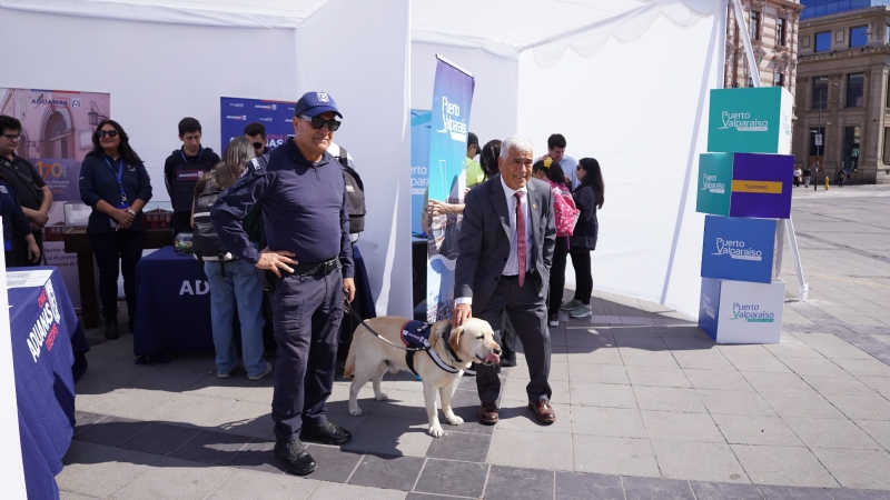  Imágen 6 - Galería