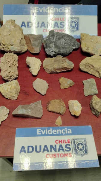  Imágen 1 - Galería