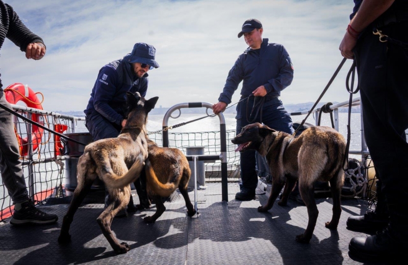  Imágen 1 - Galería