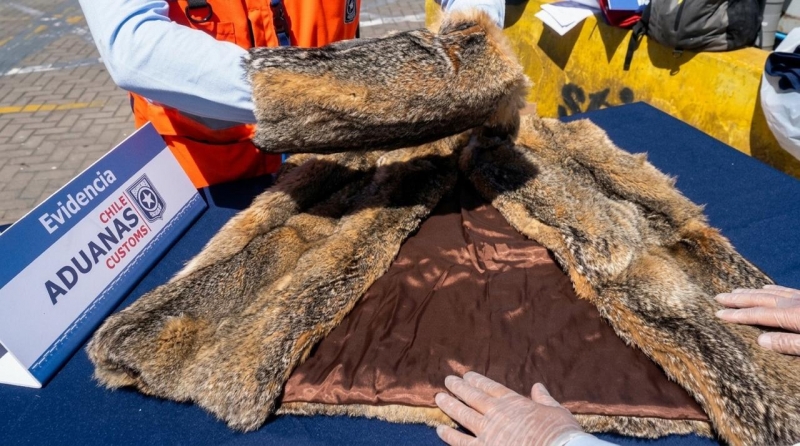  Imágen 1 - Galería