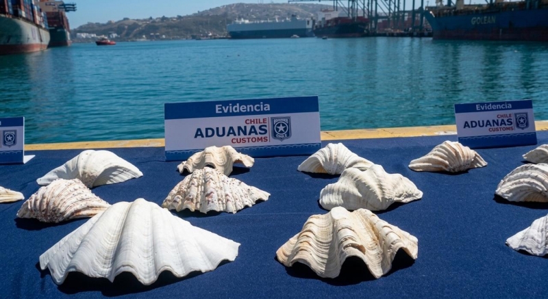  Imágen 2 - Galería